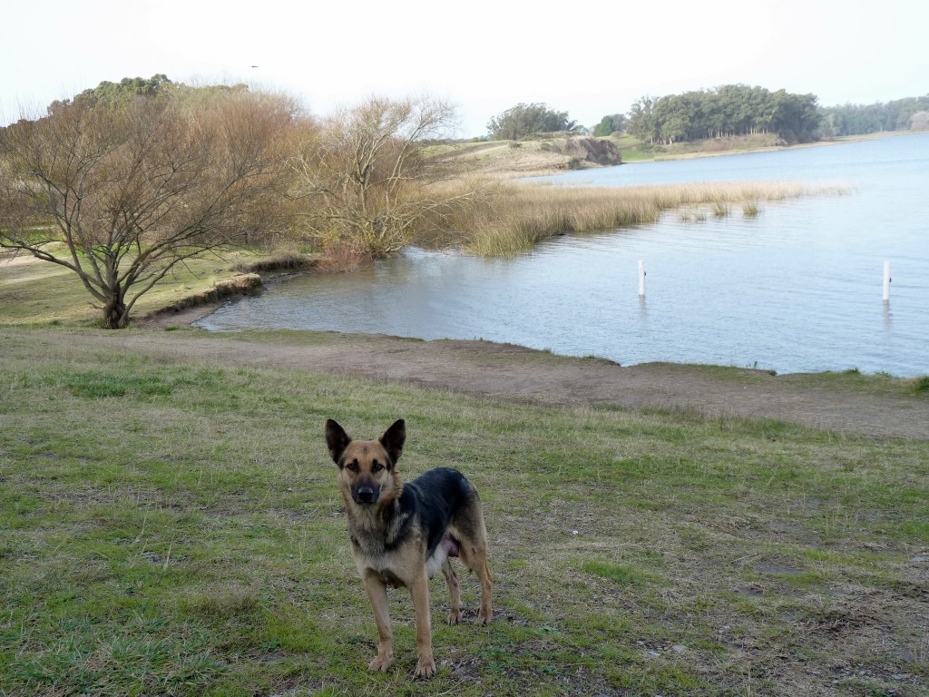 Foto de Laguna de los Padres (Buenos Aires), Argentina