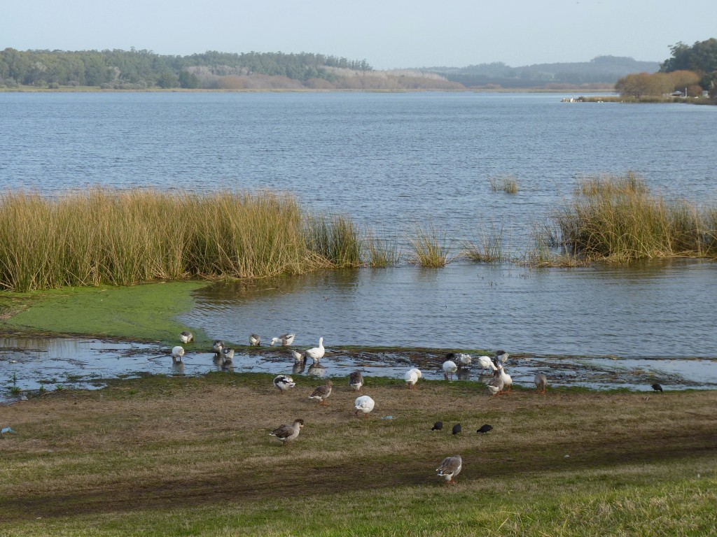 Foto de Laguna de los Padres (Buenos Aires), Argentina