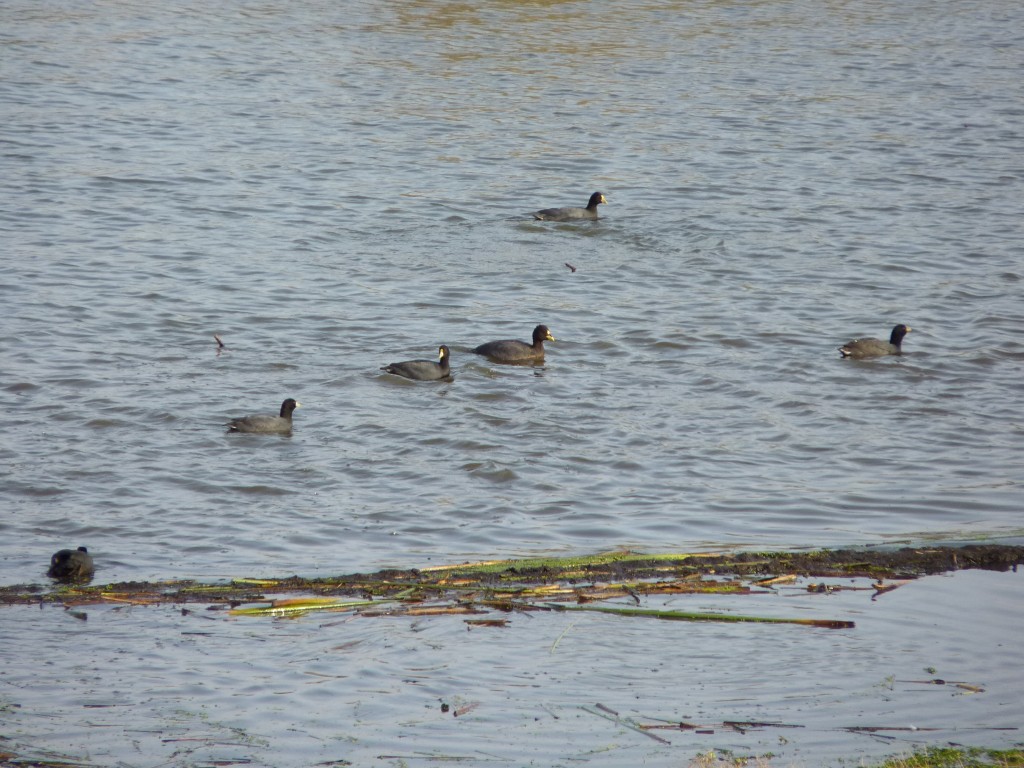 Foto de Laguna de los Padres (Buenos Aires), Argentina