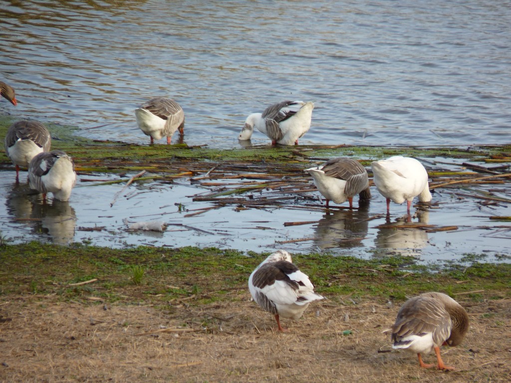 Foto de Laguna de los Padres (Buenos Aires), Argentina