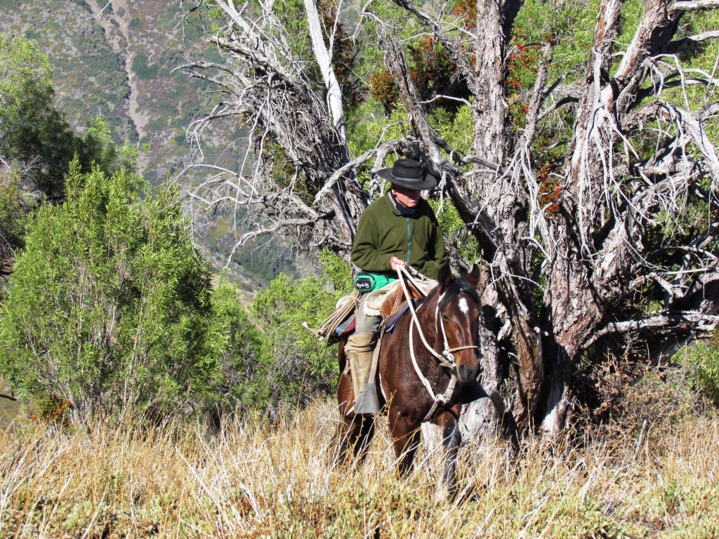 Foto de San Juan de Pirque, Chile