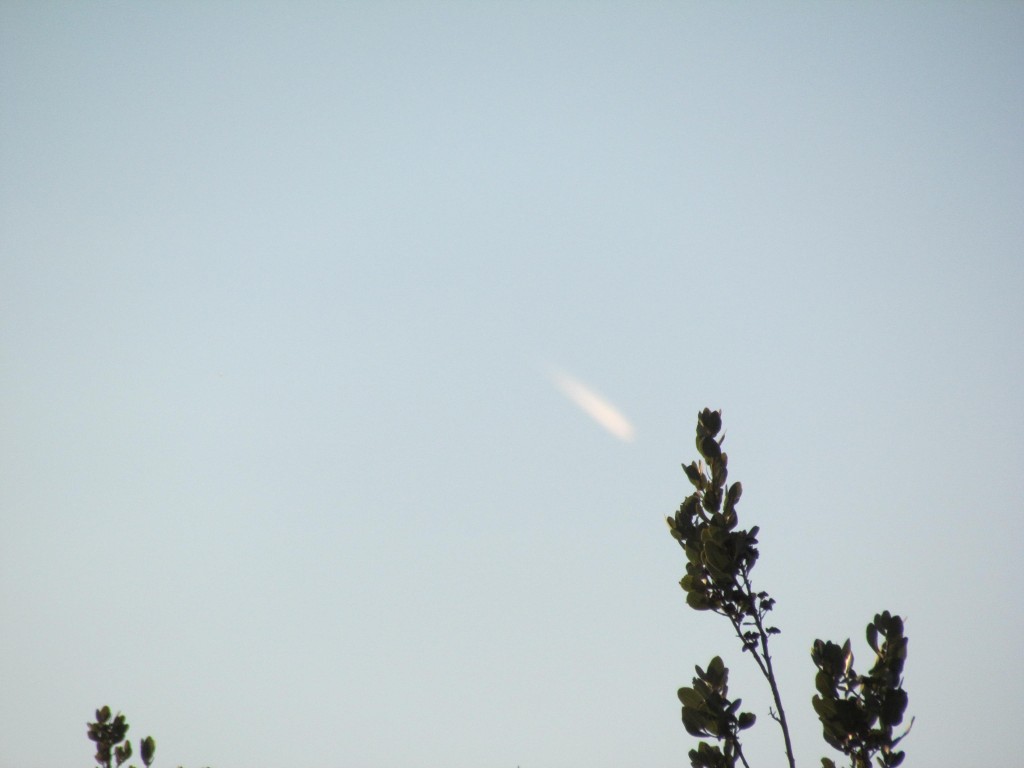 Foto: Ascenso al cerro Purgatorio - San Juan de Pirque (Región Metropolitana), Chile