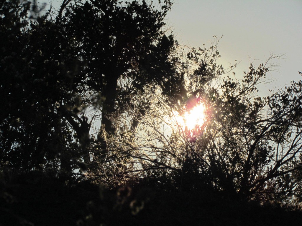 Foto de San Juan de Pirque (Región Metropolitana), Chile
