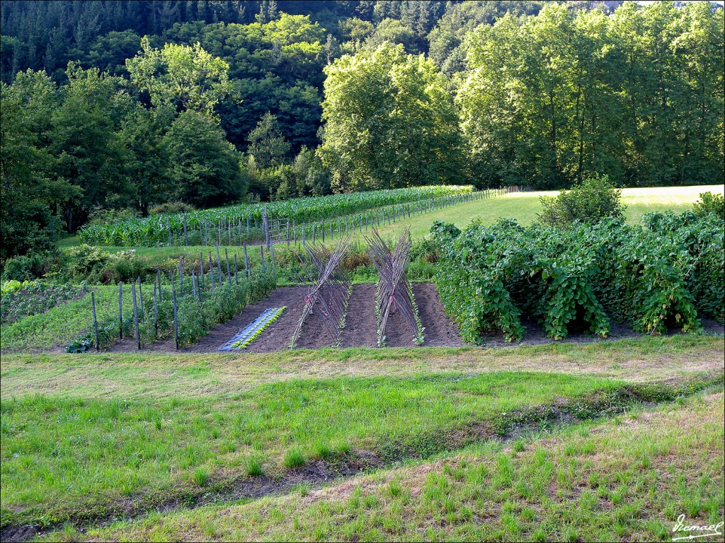 Foto: 110701-051 CESTONA - Cestona (Gipuzkoa), España