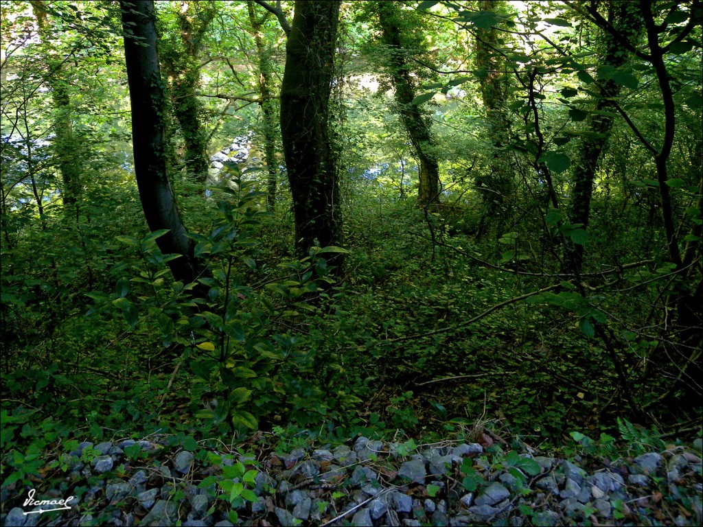 Foto: 110701-042 CESTONA - Cestona (Gipuzkoa), España