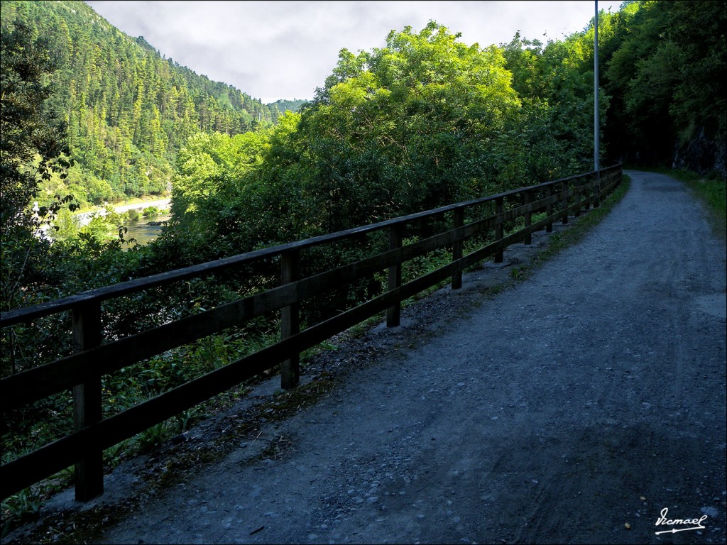 Foto: 110701-038 CESTONA - Cestona (Gipuzkoa), España