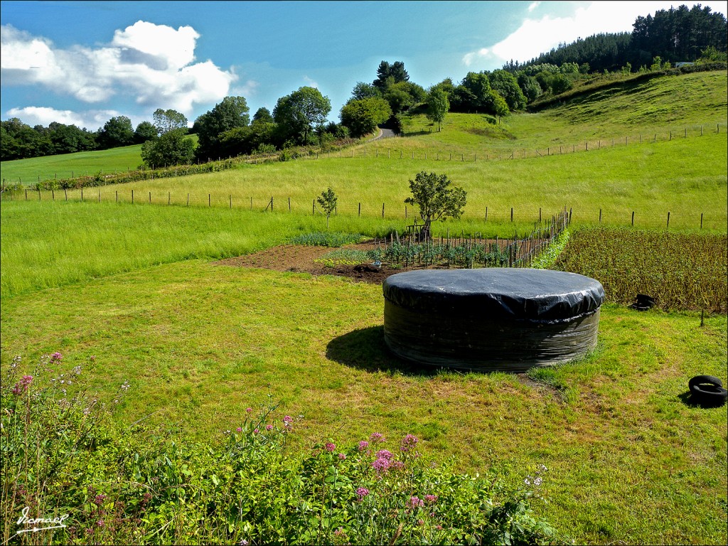Foto: 110701-131 CESTONA - Cestona (Gipuzkoa), España