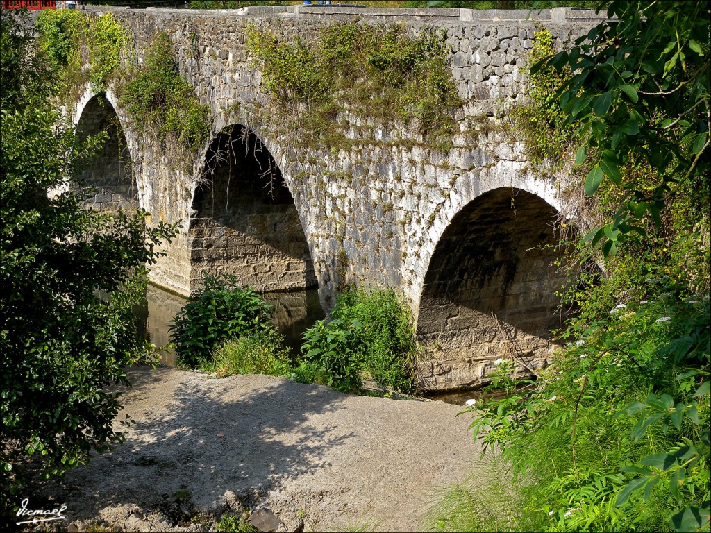 Foto: 110703-30 CESTONA - Cestona (Gipuzkoa), España