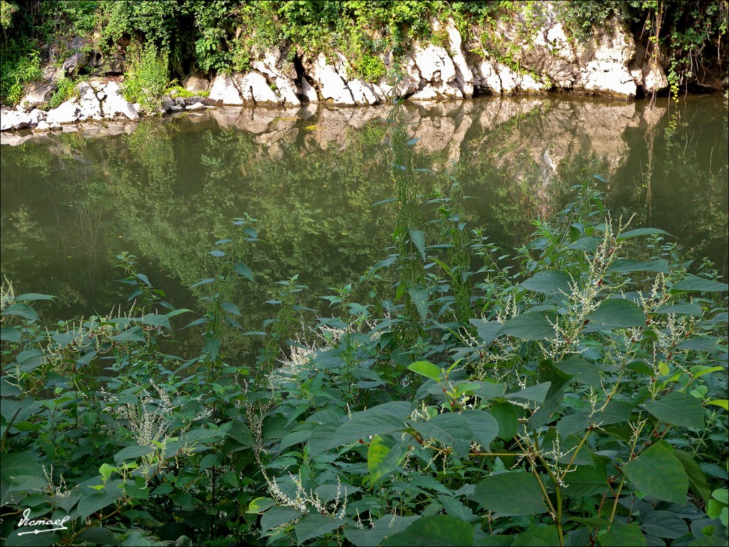 Foto: 110703-31 CESTONA - Cestona (Gipuzkoa), España