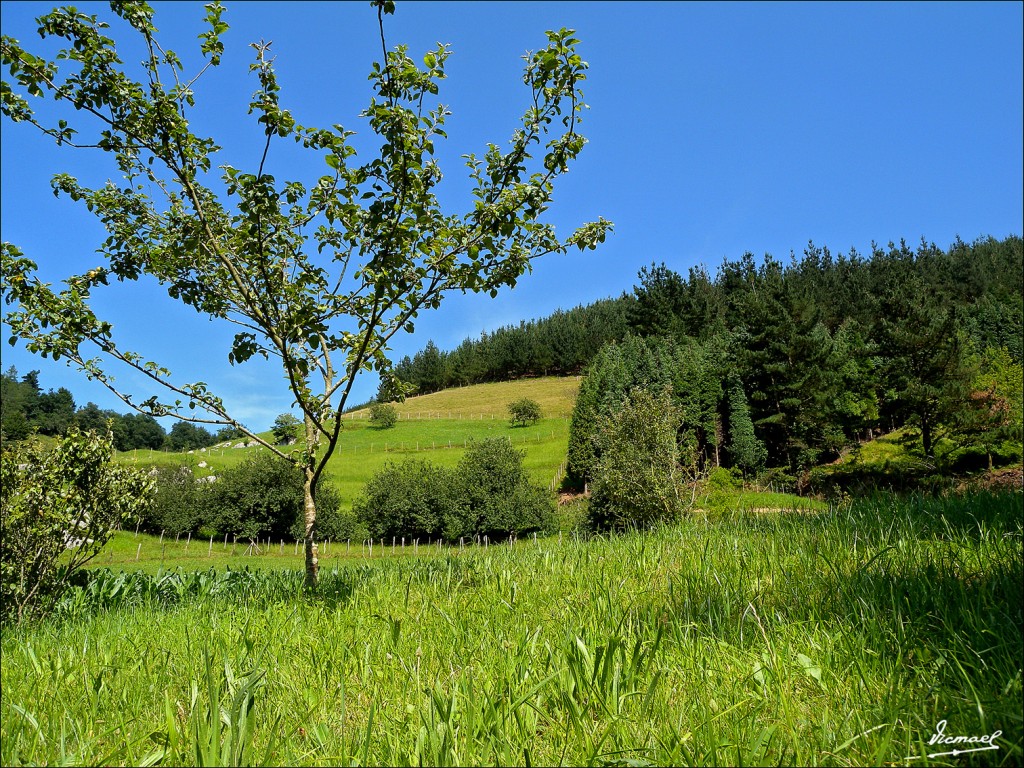 Foto: 110704-28 CESTONA - Cestona (Gipuzkoa), España