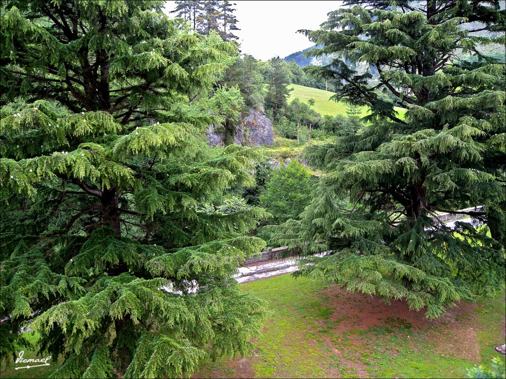 Foto: 110706-006 CESTONA - Cestona (Gipuzkoa), España