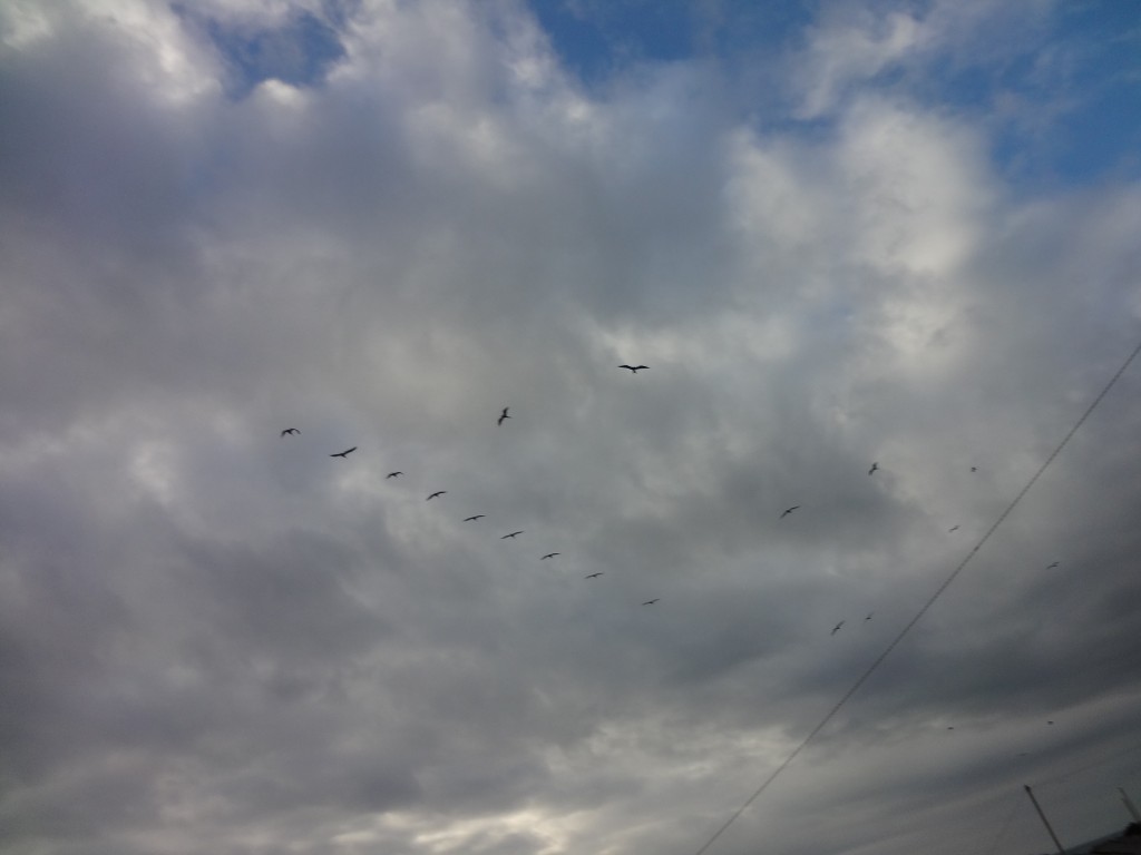 Foto: Cielo - Crucita (Manabí), Ecuador