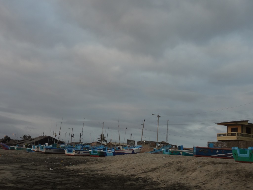 Foto: Flora de Pangas - Crucita (Manabí), Ecuador