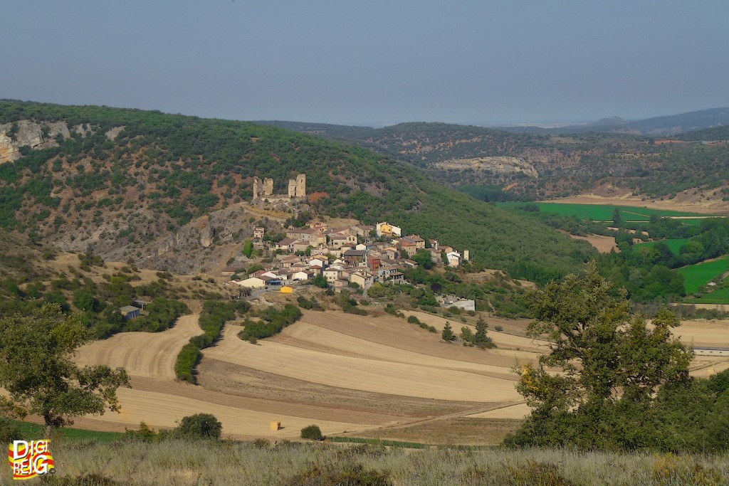 Foto: Castillo y pueblo desde la carretera. - Pelegrina (Guadalajara), España