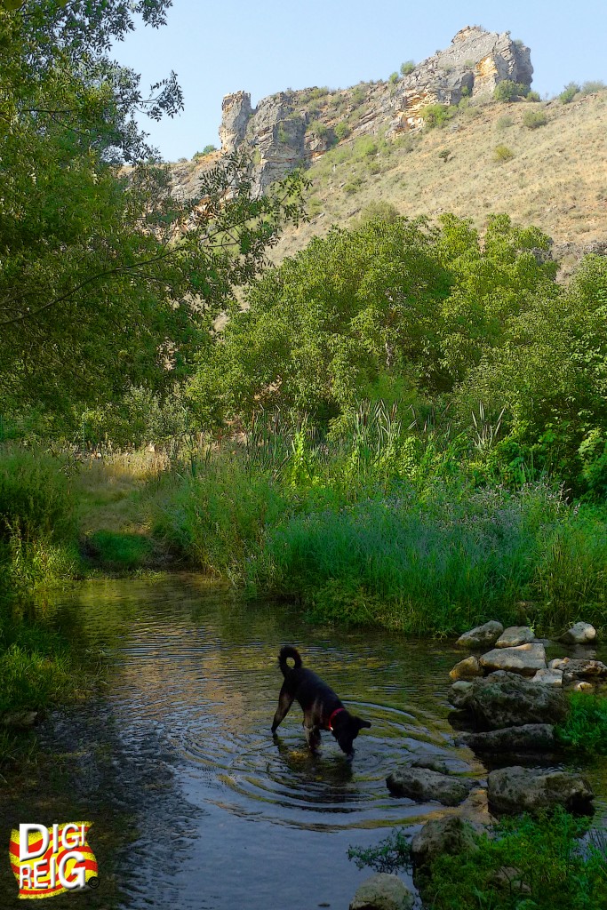 Foto: Hoces del Rio Dulce. - Pelegrina (Guadalajara), España