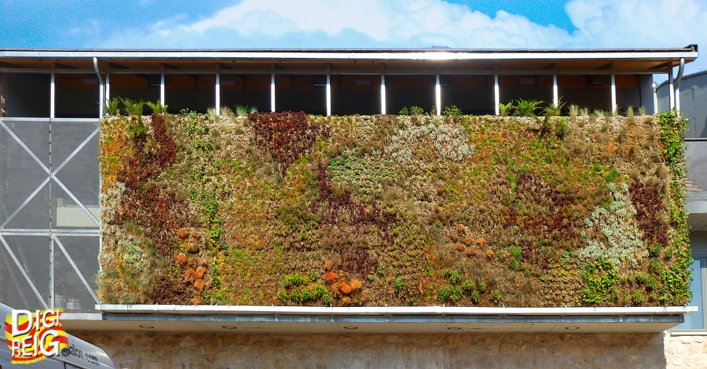 Foto: Jardín vertical. - Pelegrina (Guadalajara), España