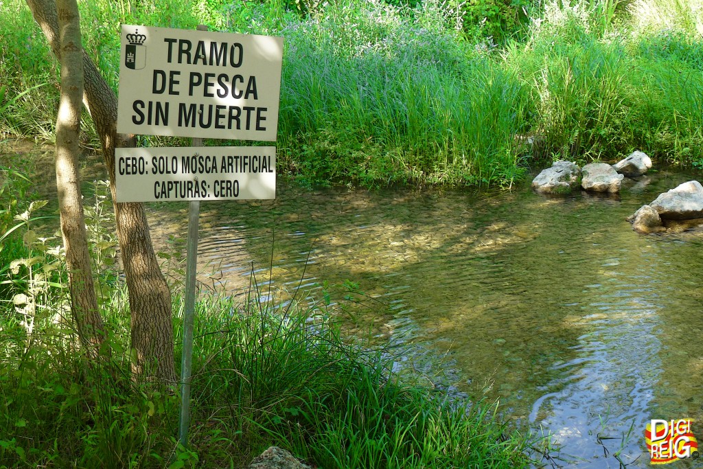Foto: Pesca "humanitaria" en el Rio Dulce. - Pelegrina (Guadalajara), España