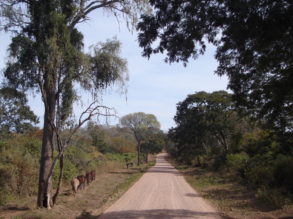 Foto: Camino Del Chaco - Yacuiba, Bolivia