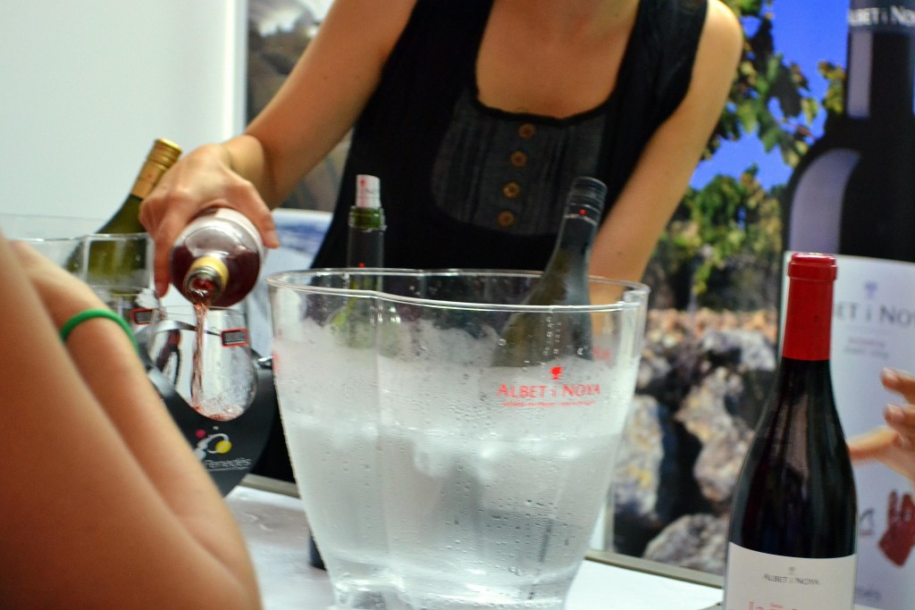 Foto: Vijazz 2011 - Vilafranca del Penedes (Barcelona), España