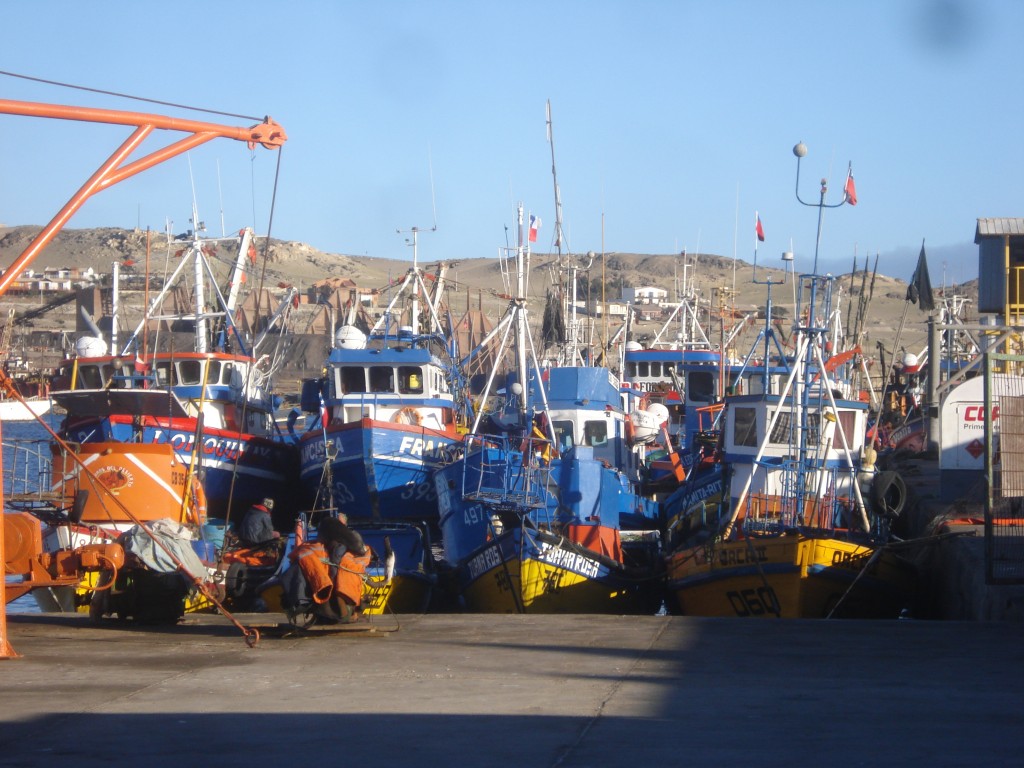 Foto: EMBARCACIONES - Caldera (Atacama), Chile