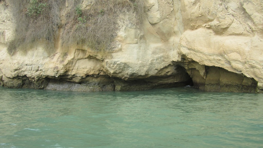Foto: Los pajaros - Atacames (Esmeraldas), Ecuador