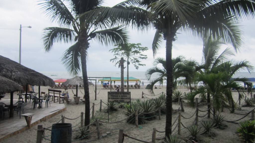 Foto: Paisaje con cocos - Atacames (Esmeraldas), Ecuador
