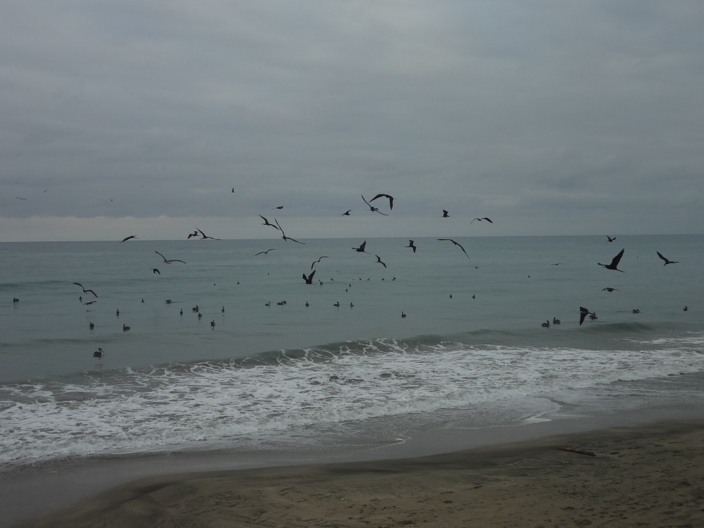 Foto: Playa - Crucita (Manabí), Ecuador
