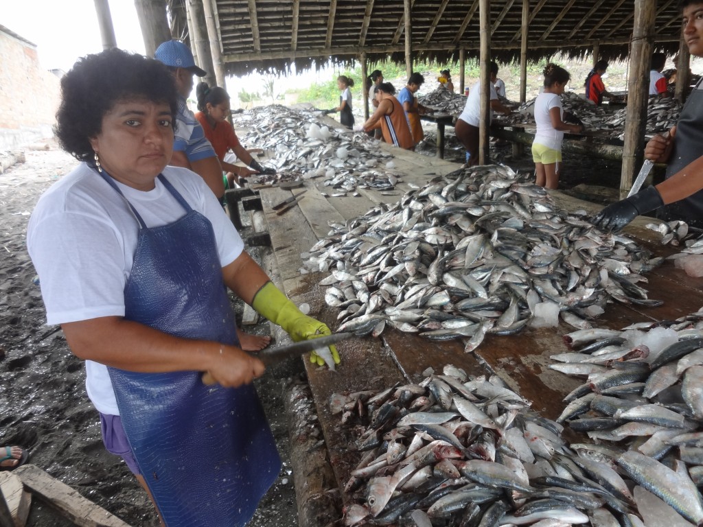 Foto: Atrtesana - Crucita (Manabí), Ecuador