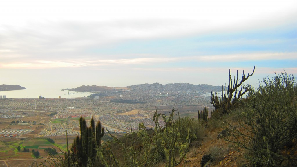 Foto: Hill - Coquimbo, Chile