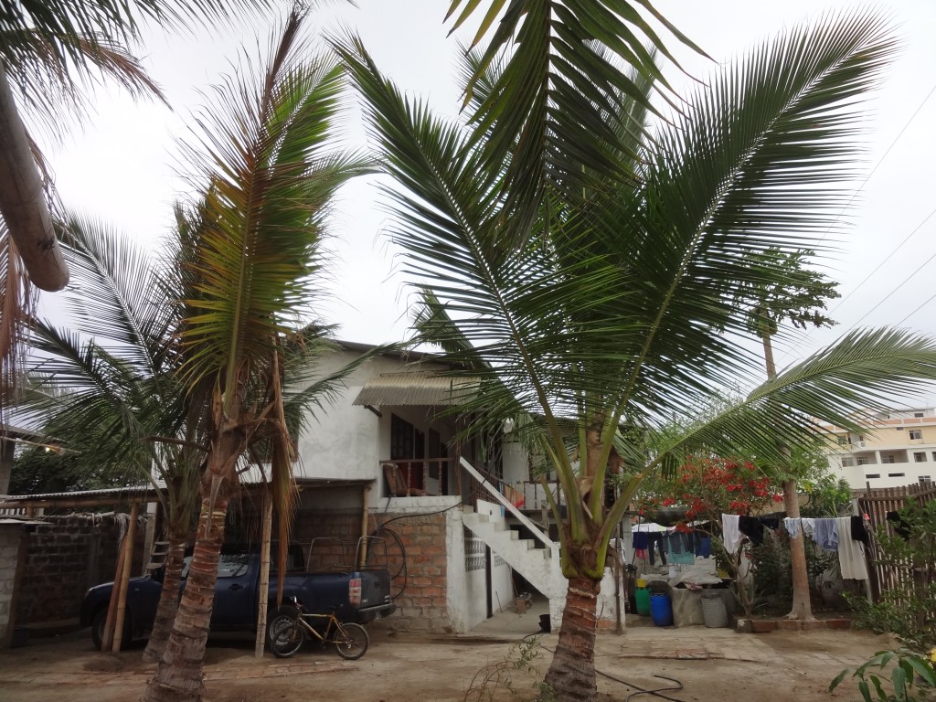 Foto de Crucita (Manabí), Ecuador