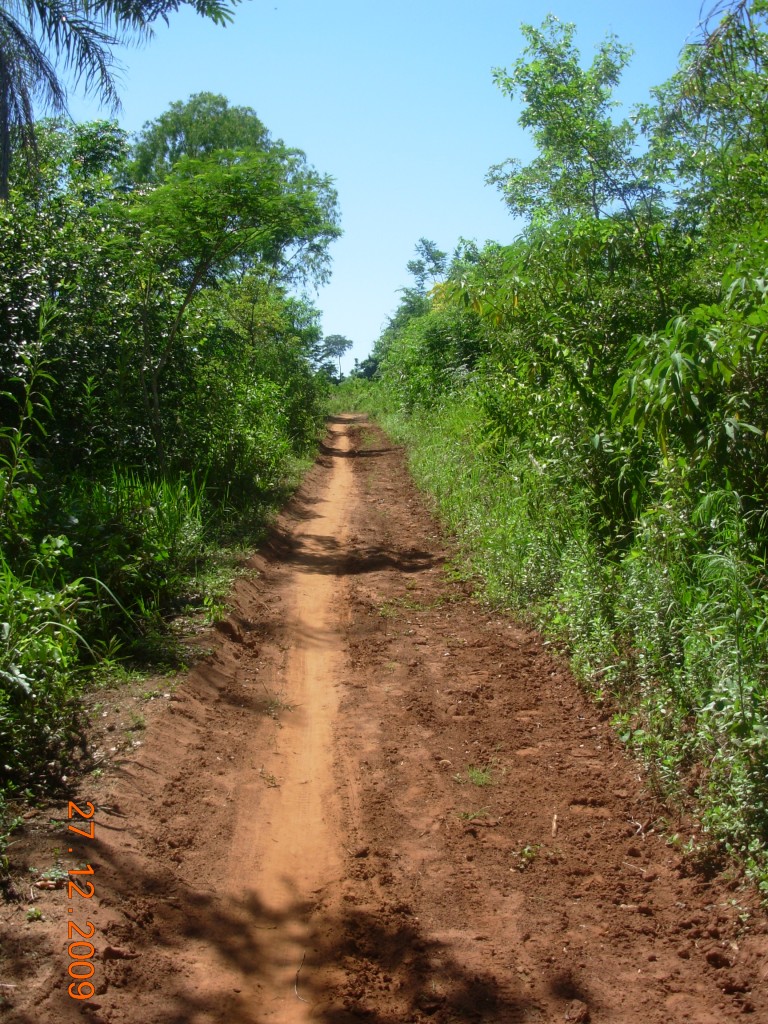 Foto: GUAZU CORA - San Pedro Del Parana (Itapúa), Paraguay