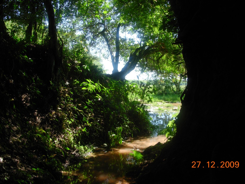 Foto: YCUA PORA - San Pedro Del Parana (Itapúa), Paraguay