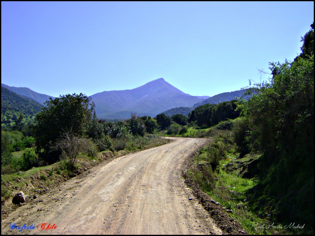 Foto de Rinconada de Doñihue (Libertador General Bernardo OʼHiggins), Chile