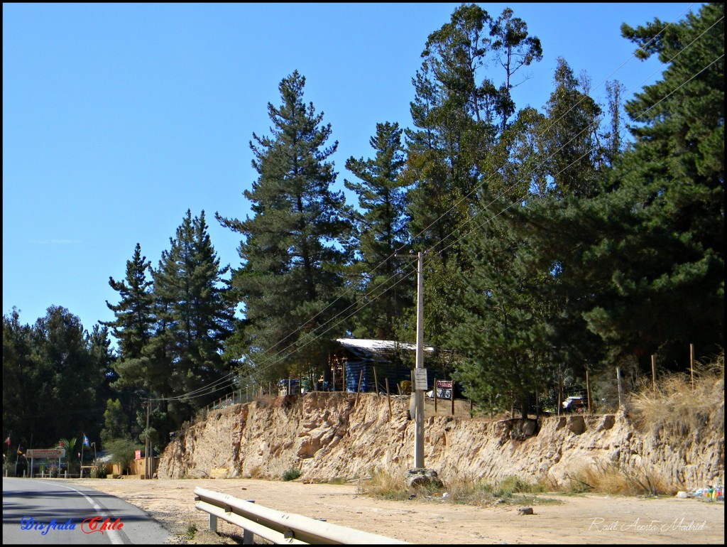 Foto de Lago Rapel (Libertador General Bernardo OʼHiggins), Chile