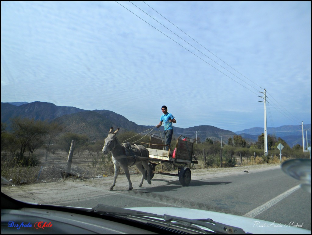 Foto de Alhué (Región Metropolitana), Chile