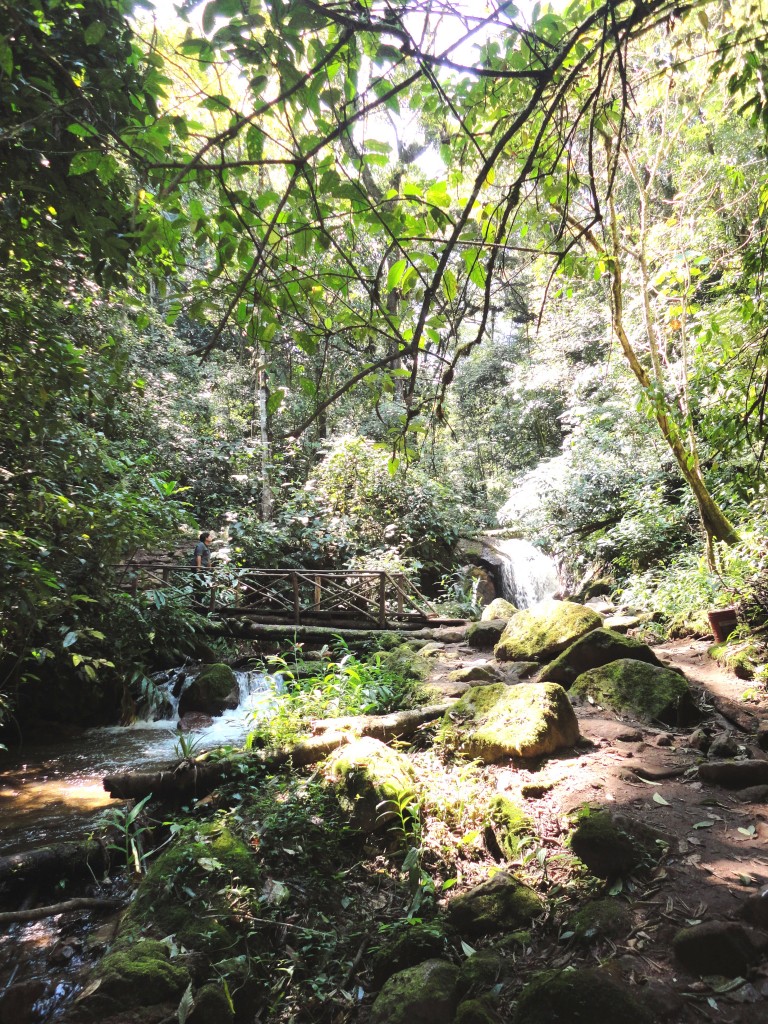 Foto: PAISAJE EN SAN RAMON - Chanchamayo (Junín), Perú