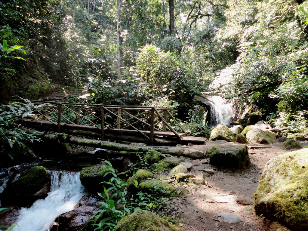 Foto: PUENTE PEATONAL - Chanchamayo (Junín), Perú