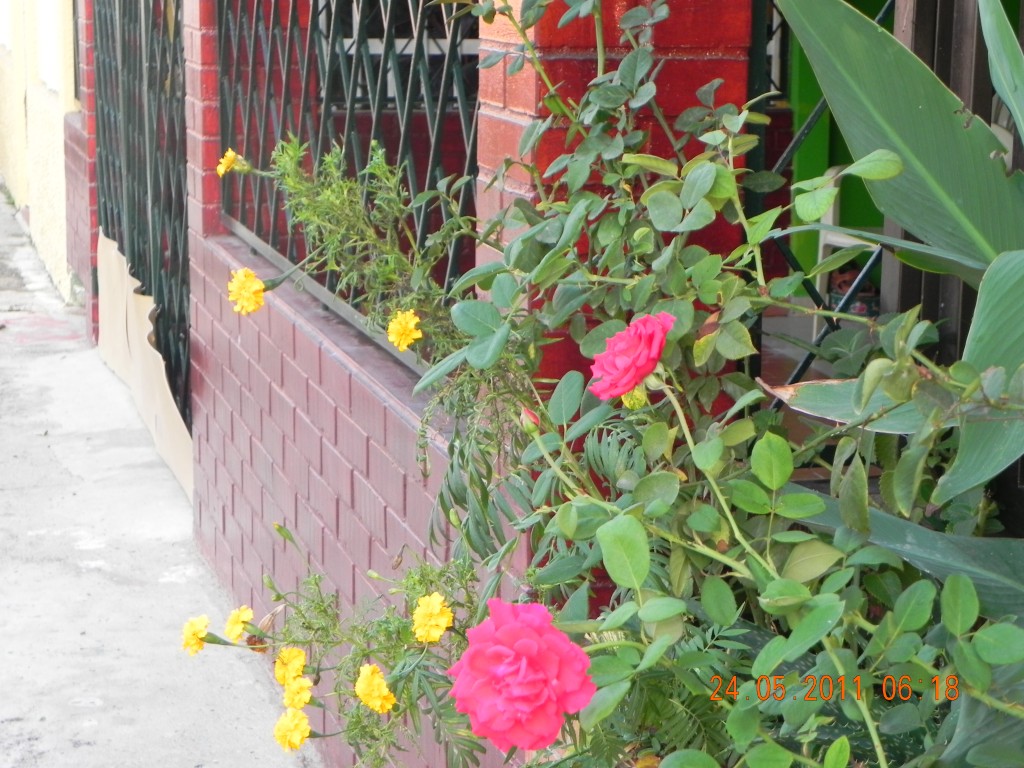 Foto: Mi Jardinera - Giron (Santander), Colombia