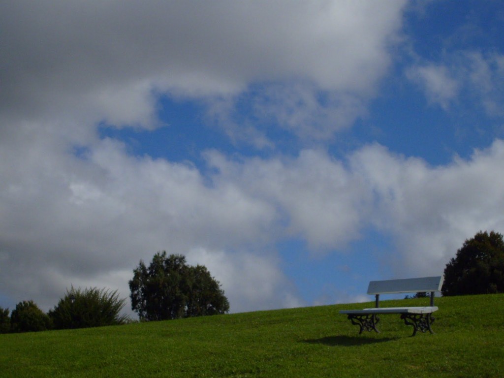 Foto: Banca inolvidable - Futrono (Región de Los Ríos), Chile