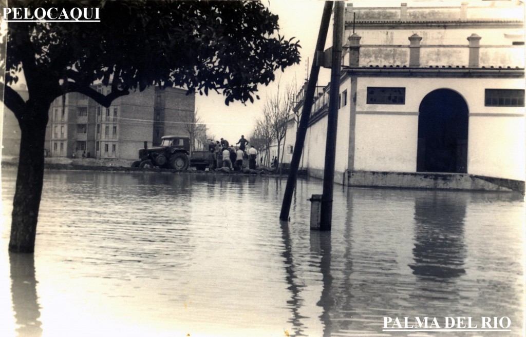 Foto: Agua hasta en la sopa 1963 - Palma Del Rio (Córdoba), España