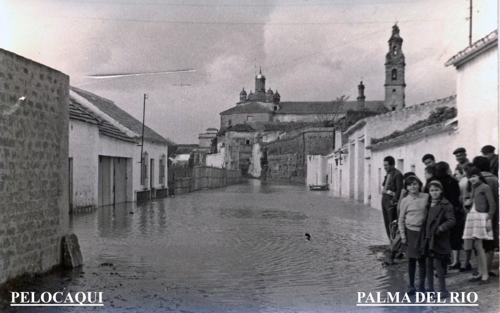 Foto: El rio en la calle del rio seco 1963 - Palma Del Rio (Córdoba), España