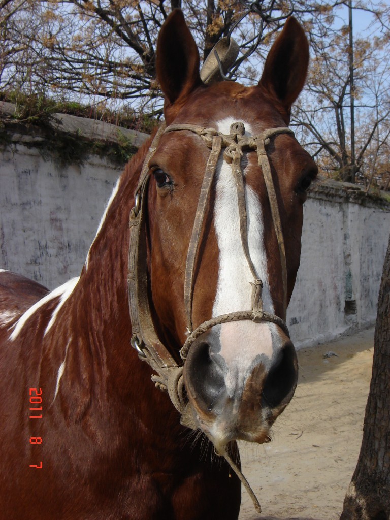 Foto de Buenos Aires, Argentina