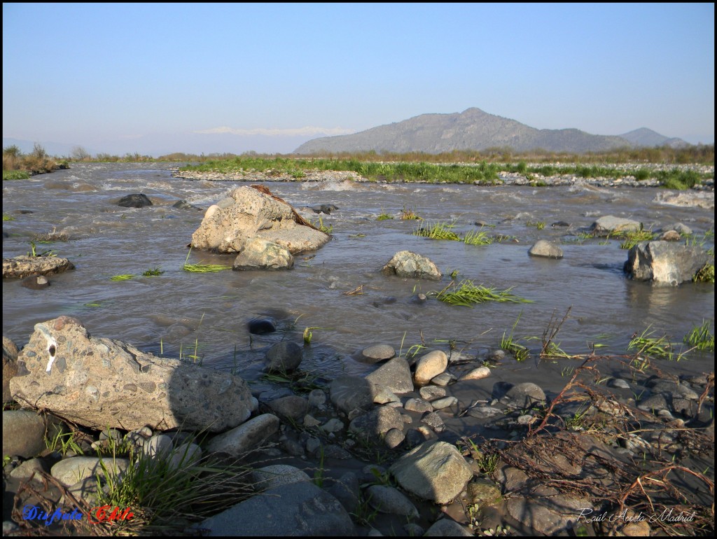 Foto: Río Cachapoal - Lo Miranda (Libertador General Bernardo OʼHiggins), Chile