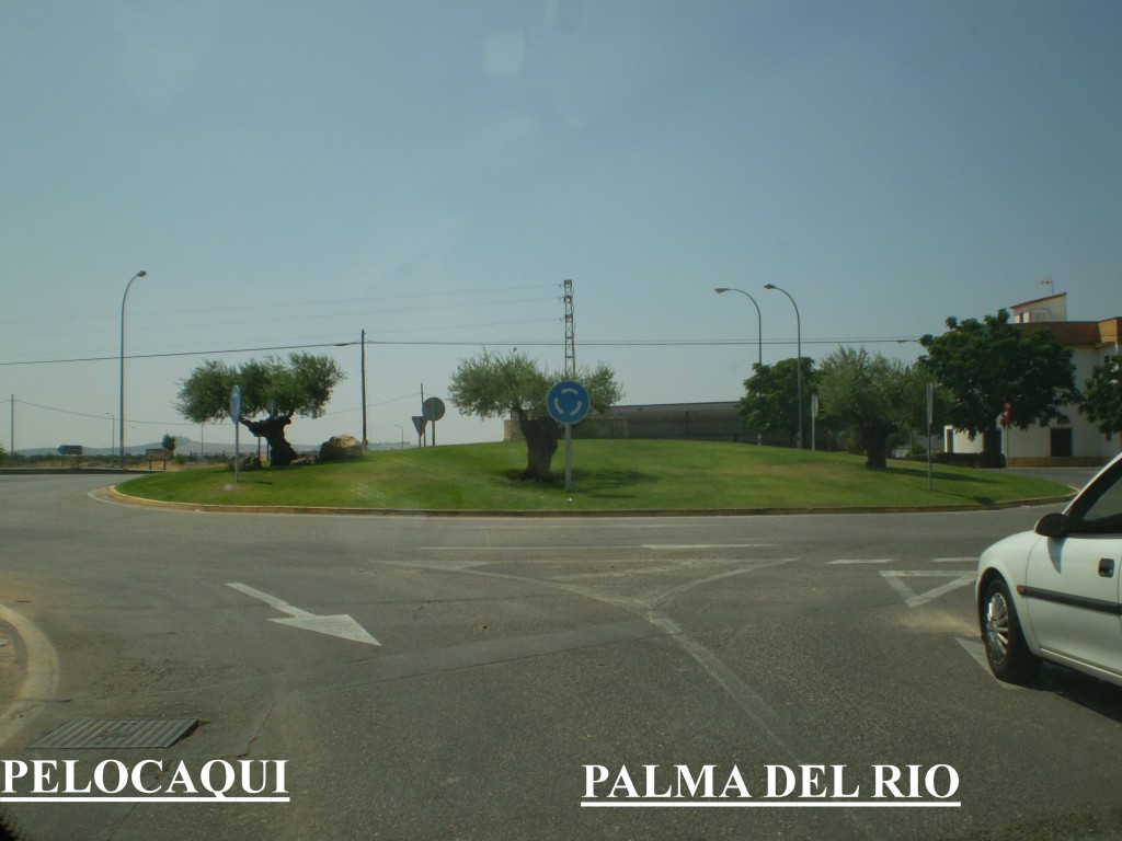 Foto: Rotonda de Palma Del Rio - Palma Del Rio (Córdoba), España