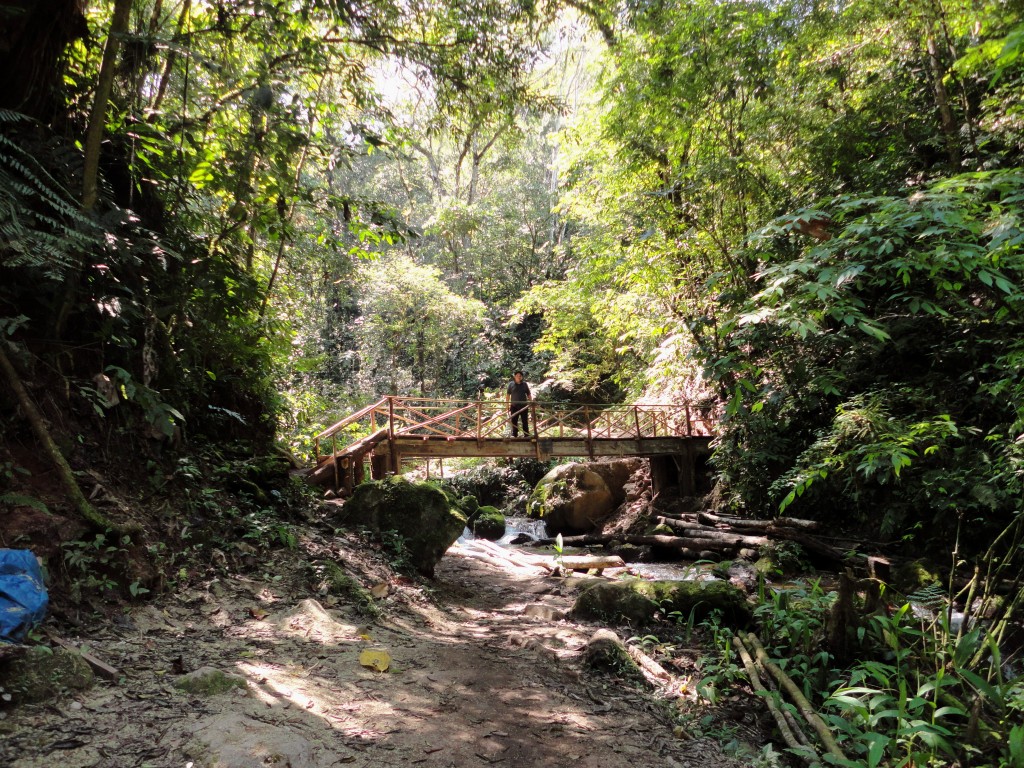 Foto: PAISAJE - Chanchamayo (Junín), Perú