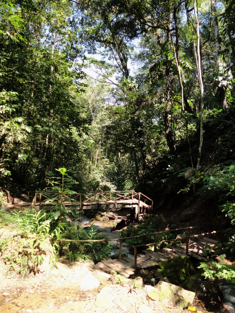 Foto: PAISAJE - Chanchamayo (Junín), Perú
