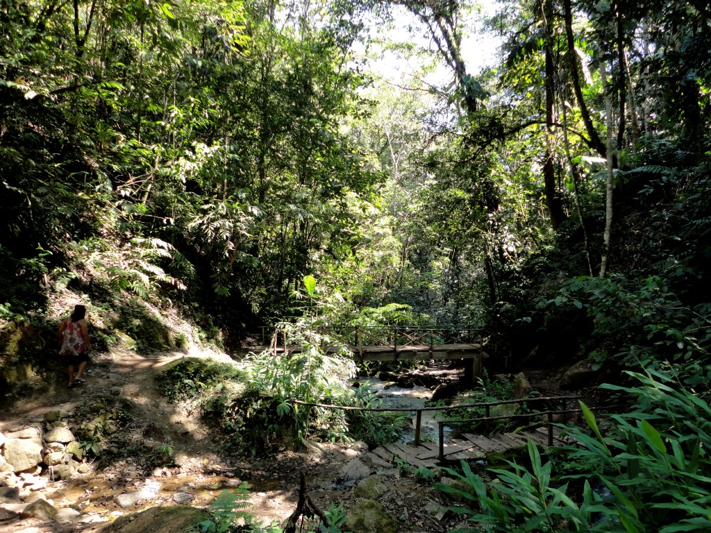 Foto: PAISAJE EN SAN RAMON CHANCHAMAYO. - Chanchamayo (Junín), Perú