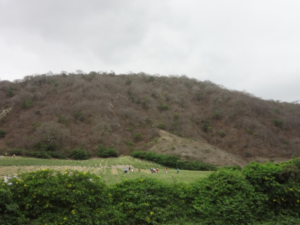 Foto: Sembrios - Crucita (Manabí), Ecuador