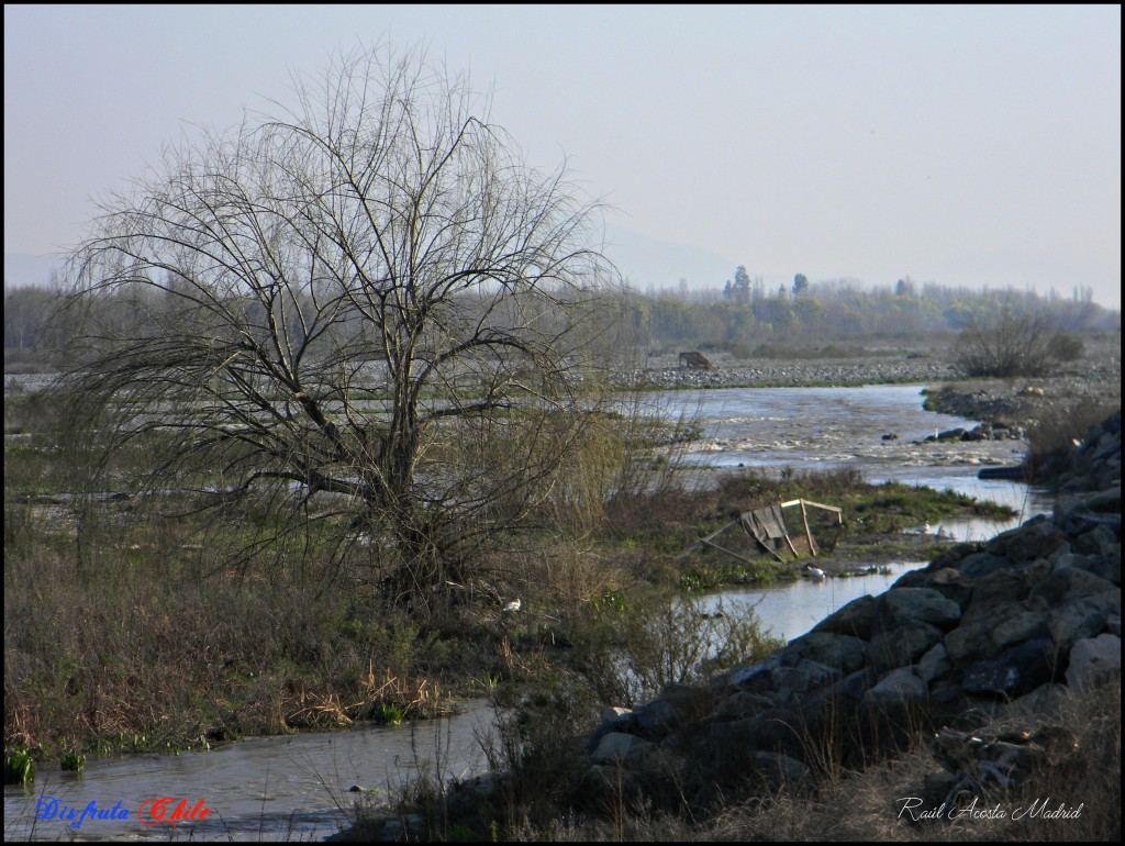 Foto de California (Libertador General Bernardo OʼHiggins), Chile