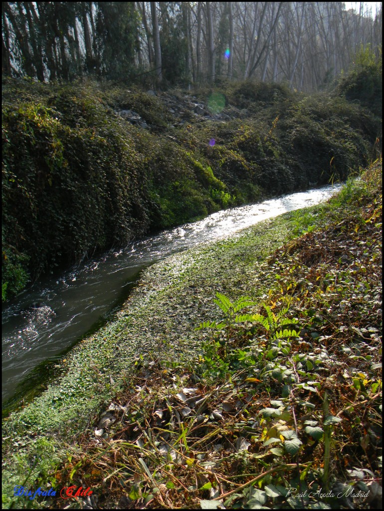 Foto de Lo Miranda (Libertador General Bernardo OʼHiggins), Chile